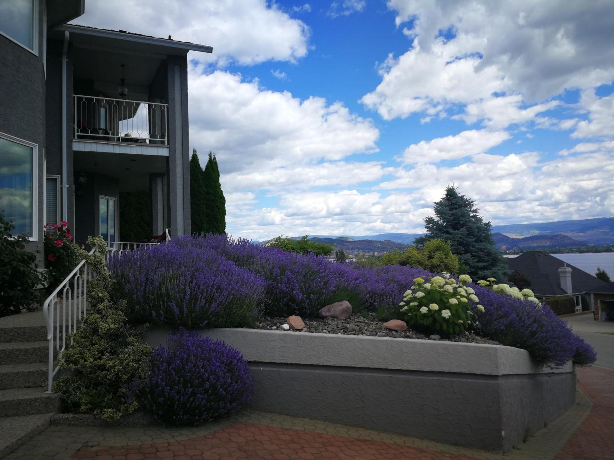 Casa Grande Lakeview House West Kelowna Oda fotoğraf