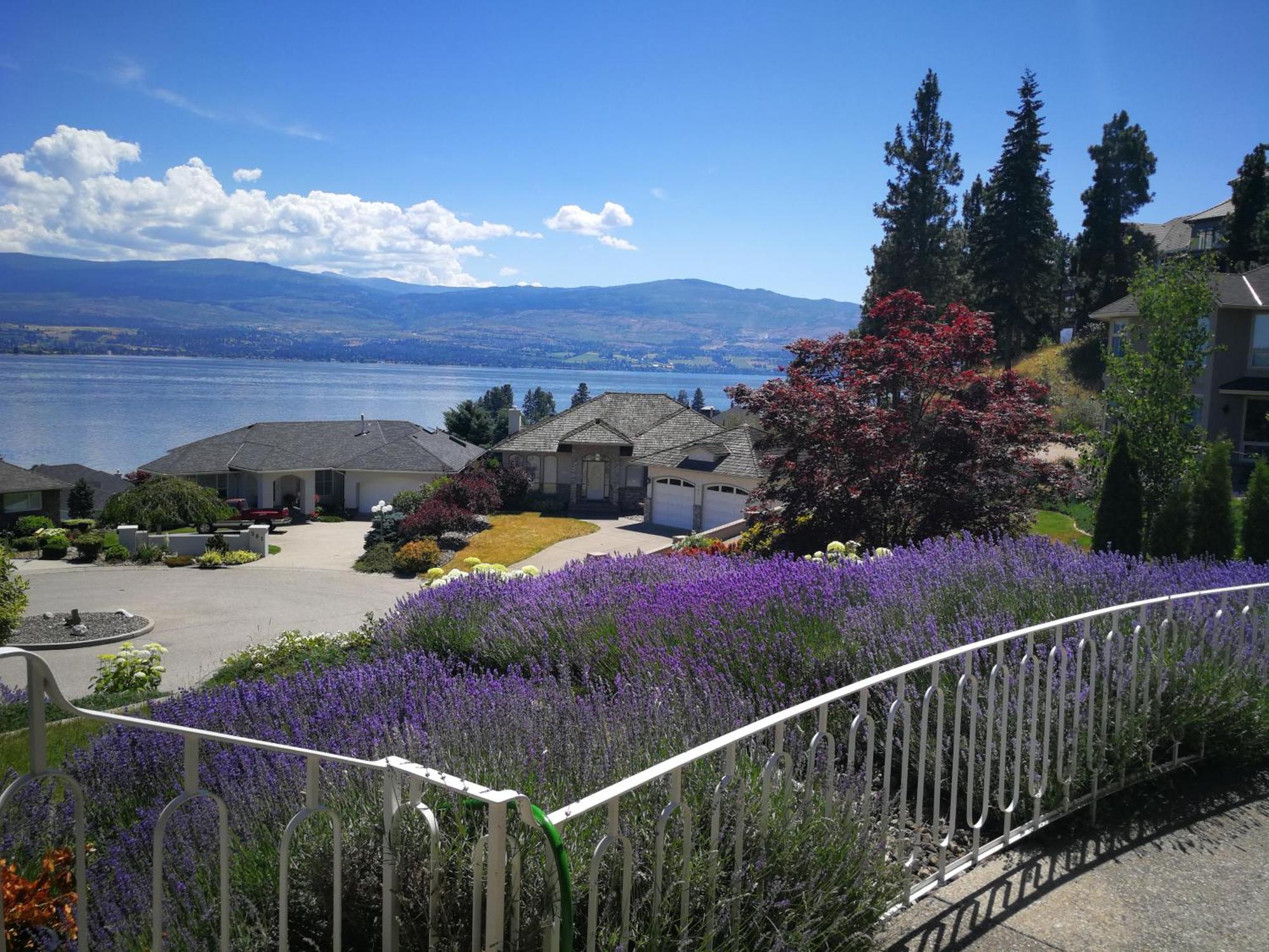 Casa Grande Lakeview House West Kelowna Oda fotoğraf